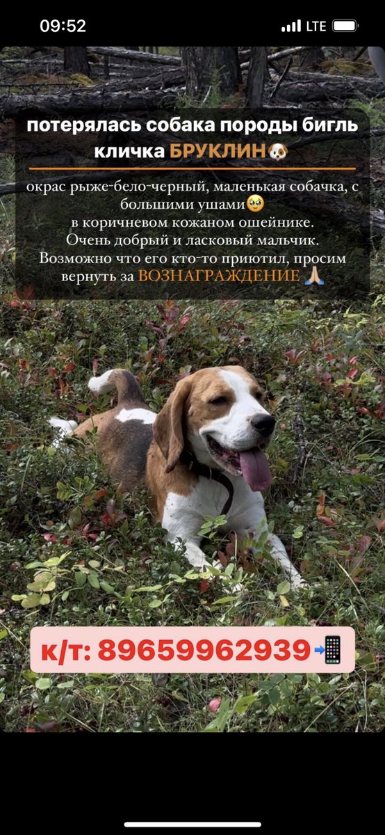 Друзьяяяяя давайте поможем найти!!!🙏🏿🙏🏿🙏🏿 
Максимальный ретвит!!!