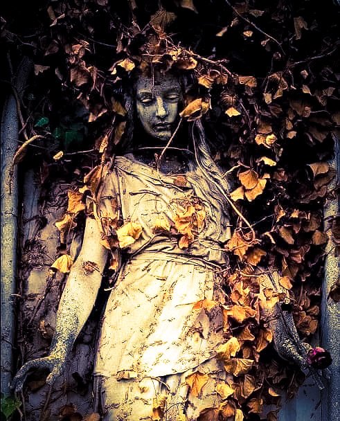 Must always I bathe scars o' tears, timescale wandering fears watch all unfurl now upon barren ground o' superannuated Kodachrome. For how joyous dreams once flit slow bus rides out &amp; her name, inimitable lament writ deep, a kiss, a single stop awakened dark velvet Alighieri code