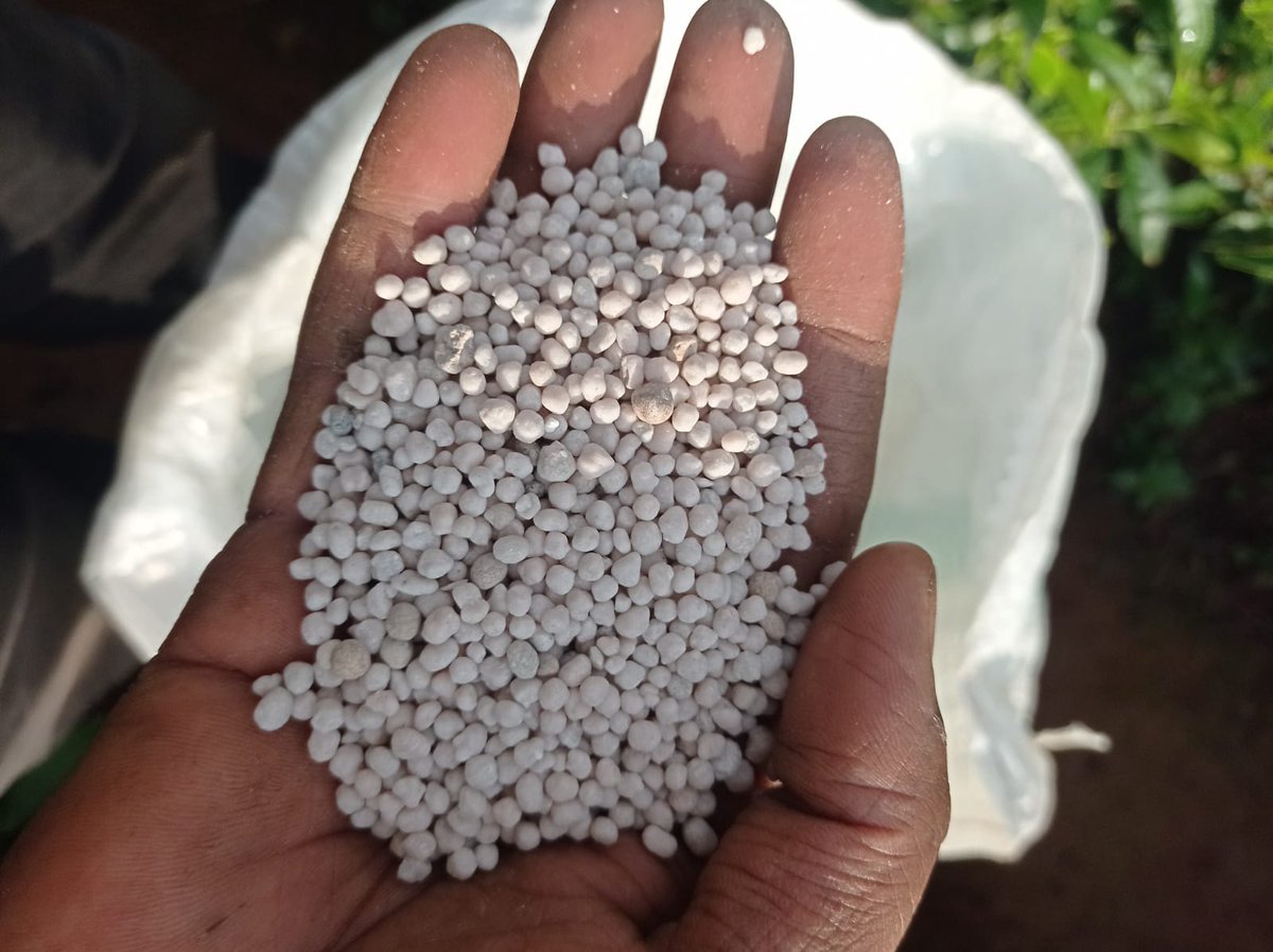 Sinonin Food Innovations LTD 🇰🇪 tweet media