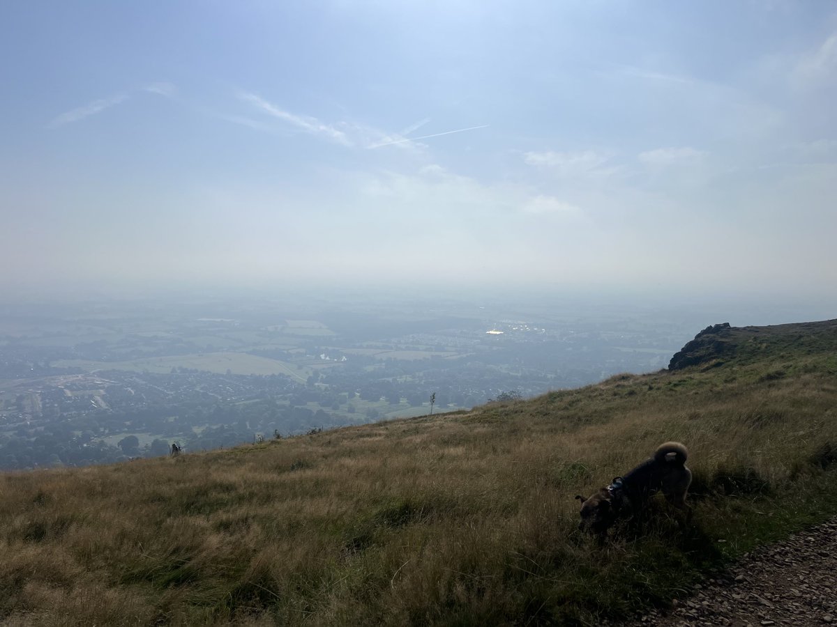 JosieAllan4's tweet photo. As glorious as it was, we hurried down to the trees and cover. To the cool and water pool 😎☀️☀️☀️☀️
#magicskies #magichill #sungod 💙💙💙💙💛 https://t.co/a8zVMbJnFF