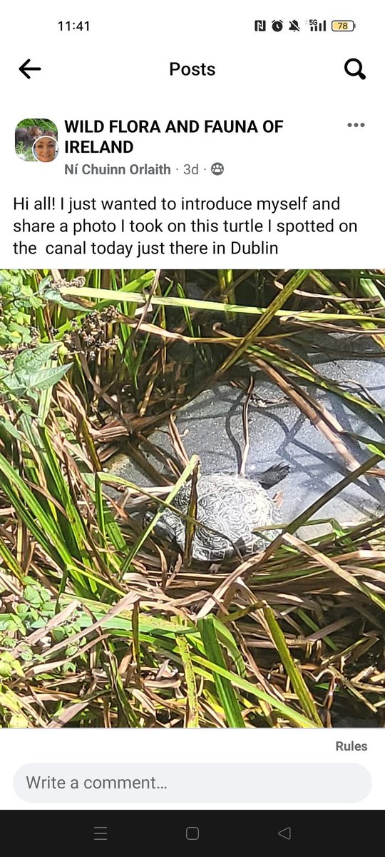 Colm Bond tweet media