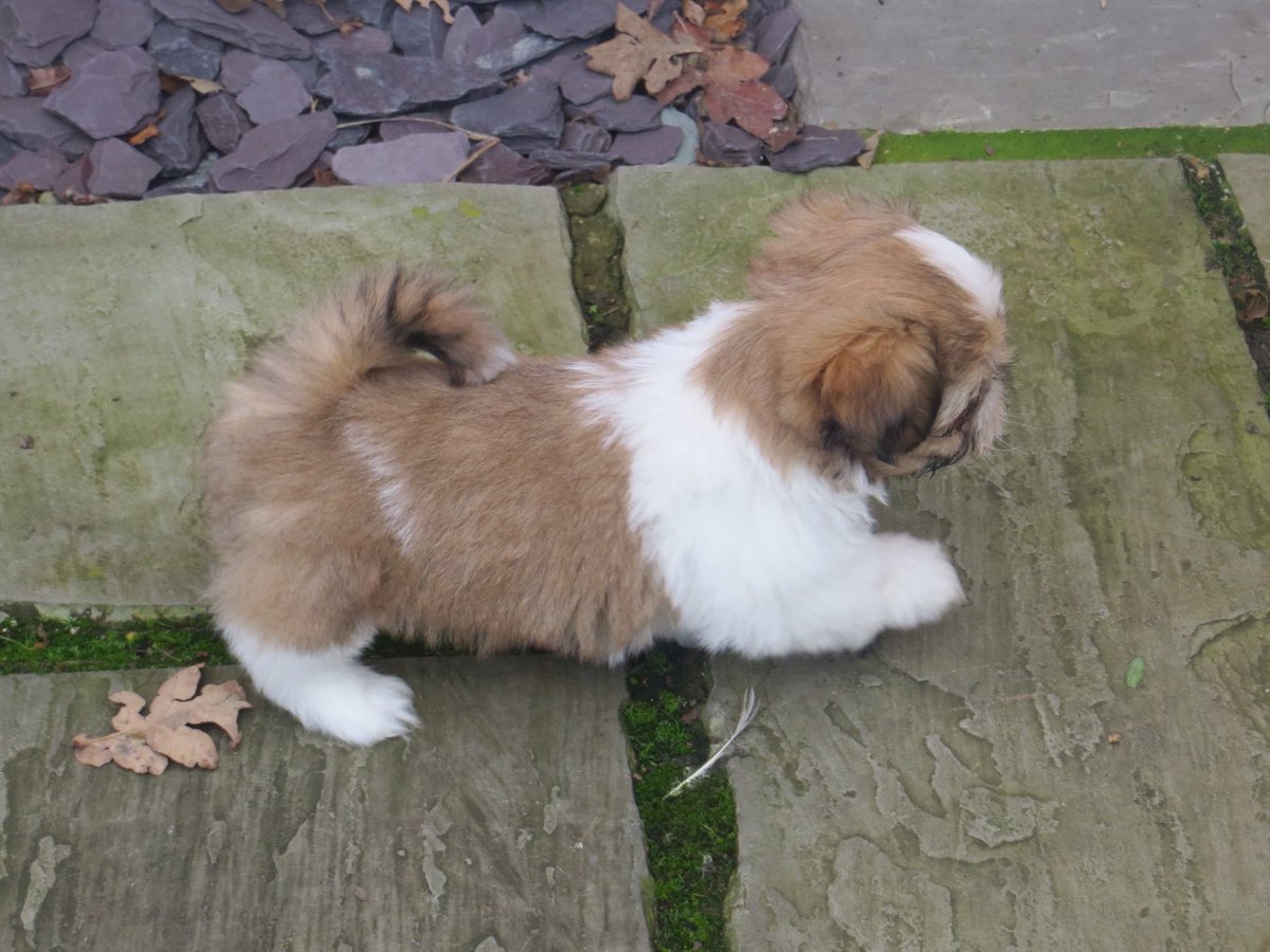 Bernadette Mooney tweet media