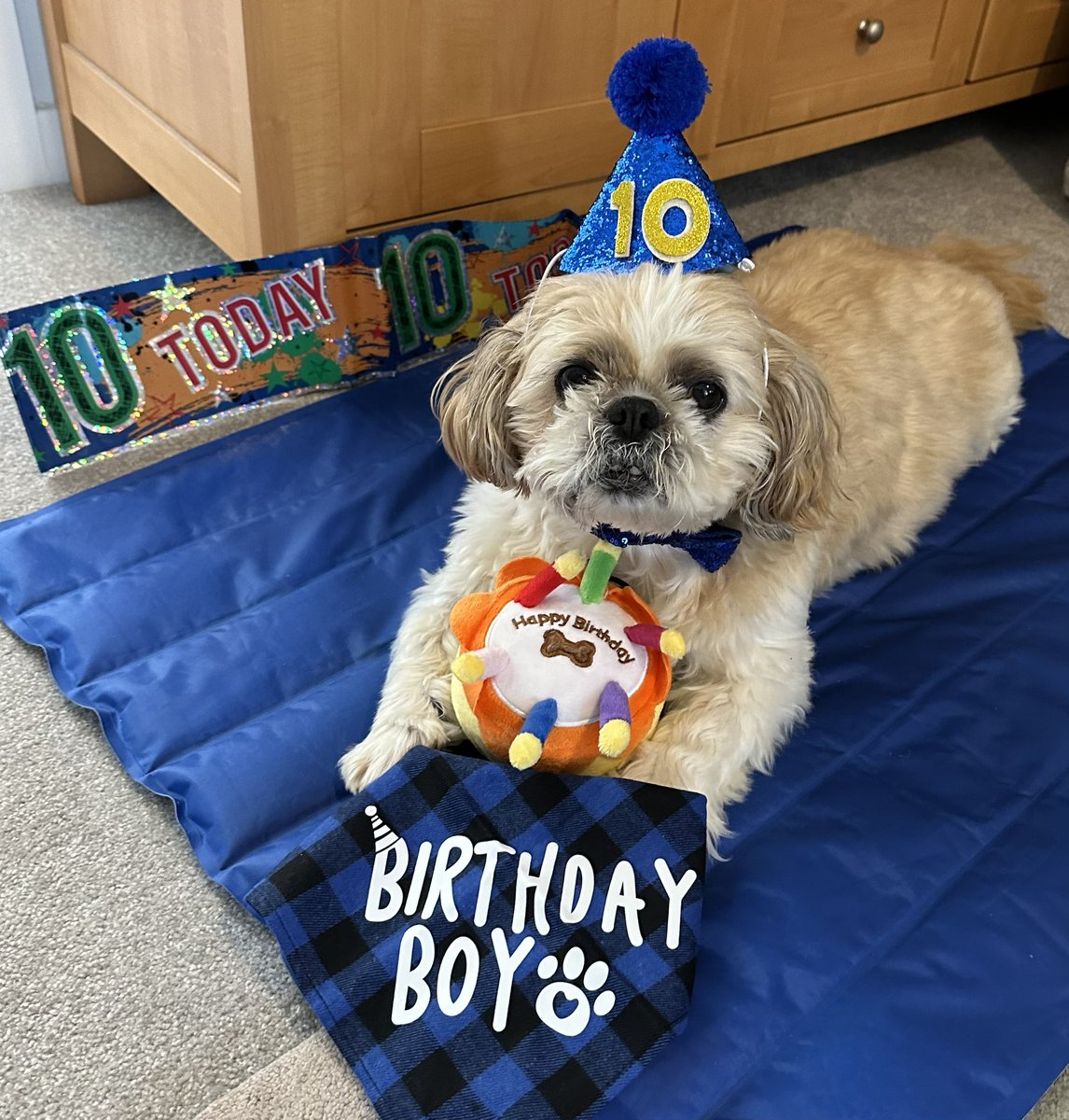 Bernadette Mooney tweet media