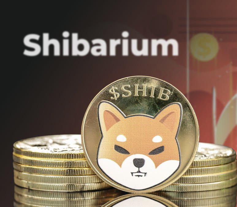 SHIBpossessor's tweet photo. Lets be honest do you believe $SHIB will reach $0.01 👀✨ 

???? https://t.co/6OqOt1OxEn