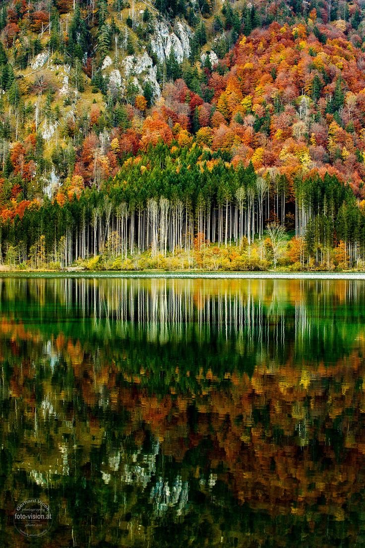 KatanaHugo's tweet photo. Good morning my friends !
#photography #photos #morning #sunrise https://t.co/i3lVqlsL0q