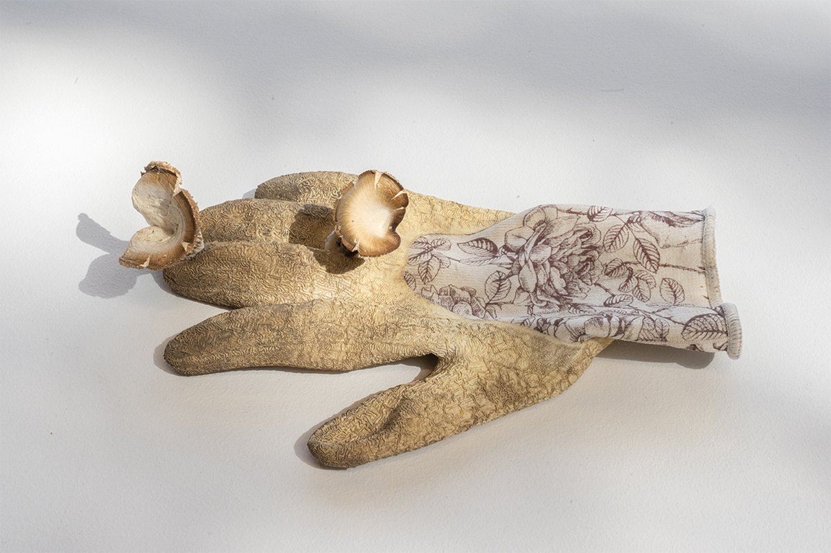 [Exposition] Matières Vivantes - Back to dirt
<a href="/mimivert/">Miriam Josi</a> &amp; Stella Lee Prowse de Aléa work, présentent leur étude et prototypage d'un nouveau processus de mycofabrication consistant à faire pousser dans le sol une chaise en mycélium.
En savoir + bit.ly/3PkU7gV