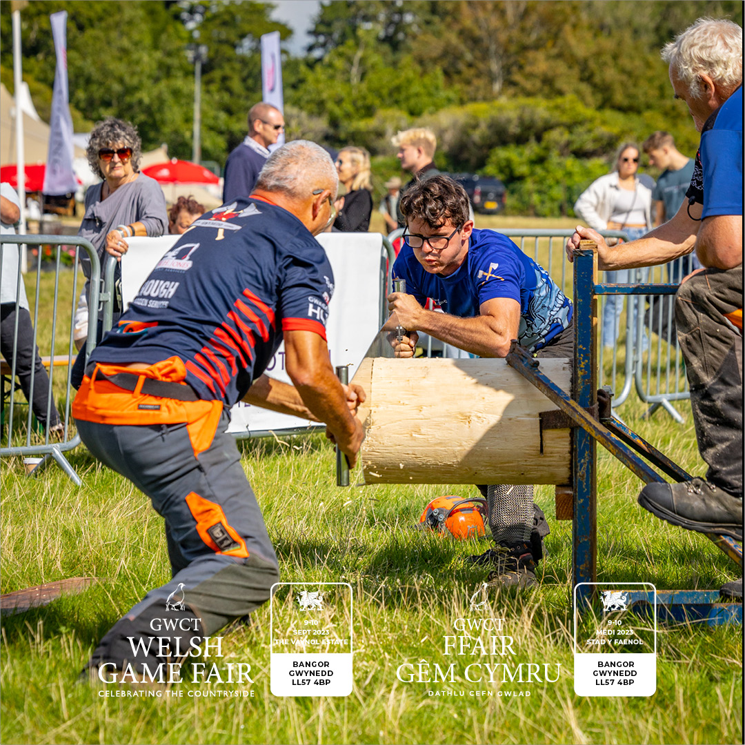 Chop chop! Bwyellwyr Clwyd Axemen will be showcasing axe racing in a thrilling 45-minute demo in the main arena where they display expert wood chopping and cross cut sawing against the clock.