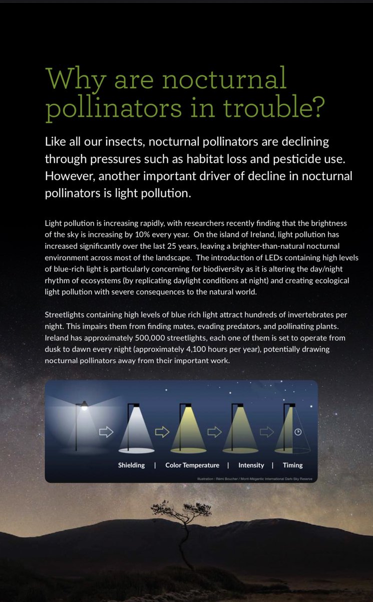 While we were sleeping, the nocturnal world carried on their work to pollinate crops and keep our ecosystems healthy - but more and more are being prevented from doing so - suspended in dizzying circles around unnecessary lights.1/3