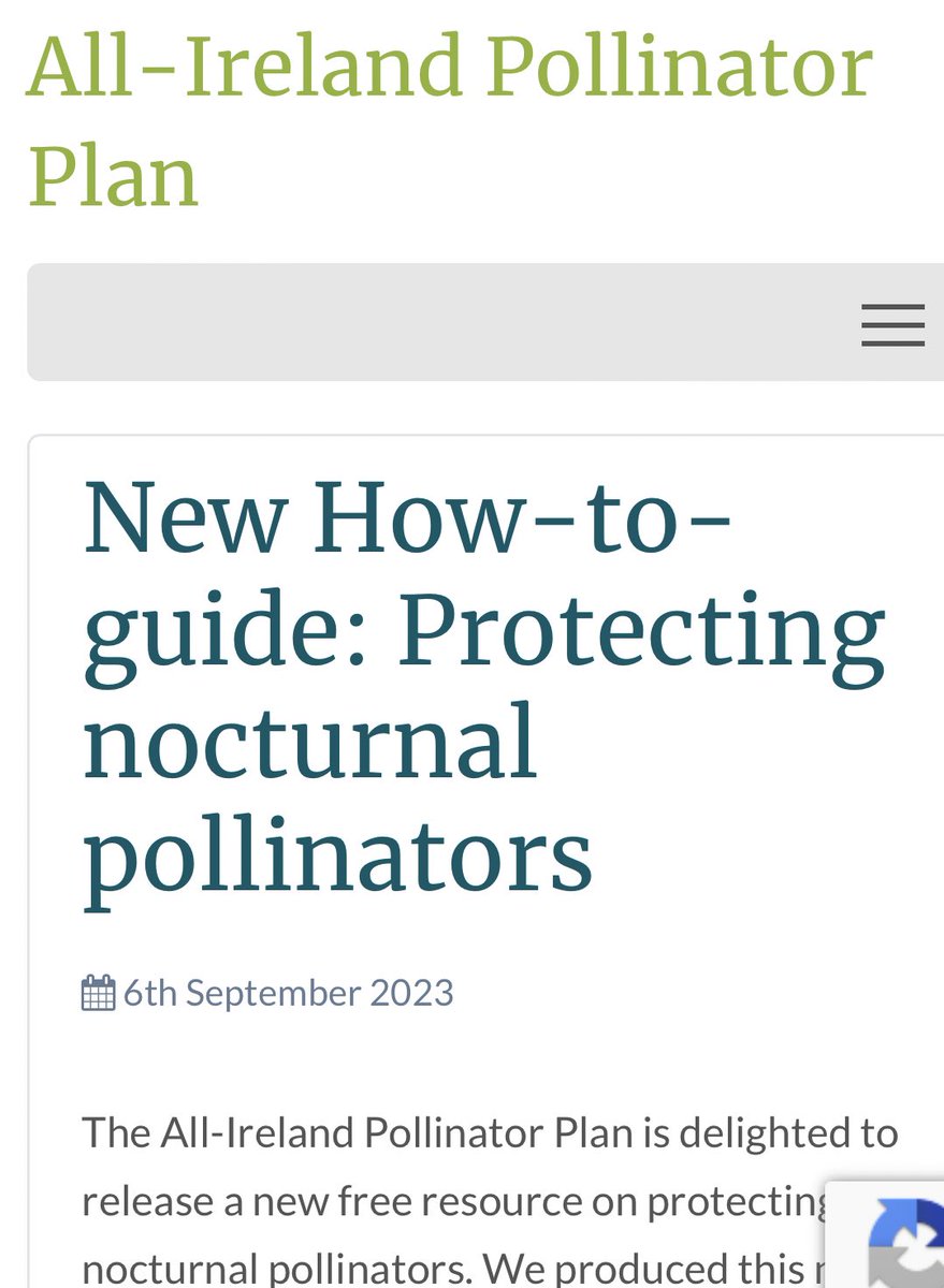 Georgia MacMillan tweet media