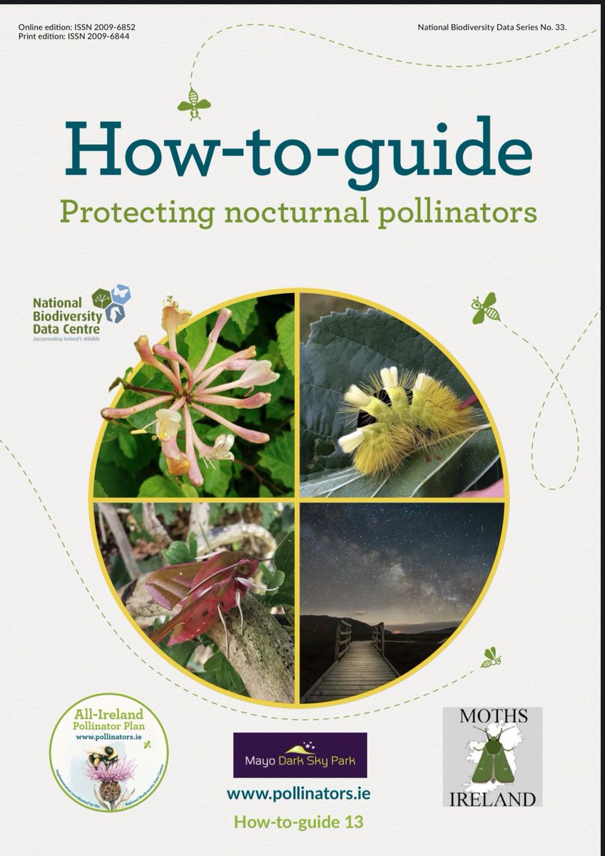 Georgia MacMillan tweet media