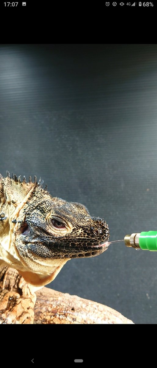 中々いい目つきやん😅👍