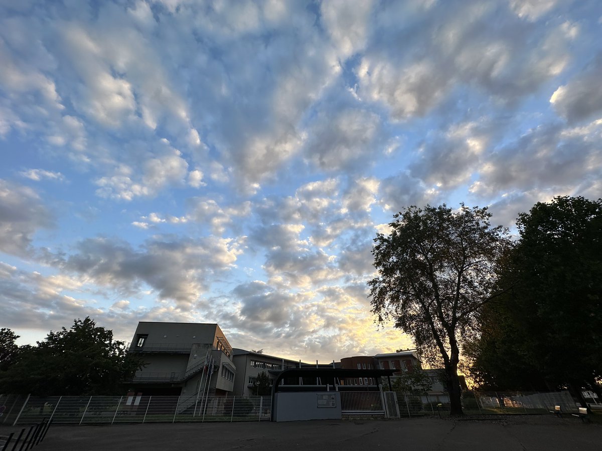 Collège Louis Pasteur - Florange tweet media