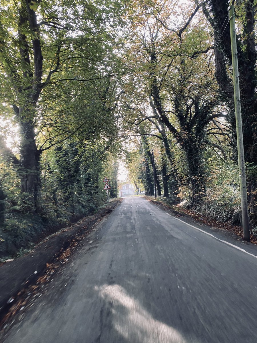 Niall Russell tweet media