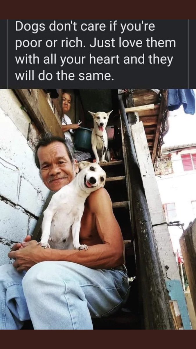 RangaLad's tweet photo. @CaroDiRusso #RIPBuster https://t.co/WJv5BrkwK5