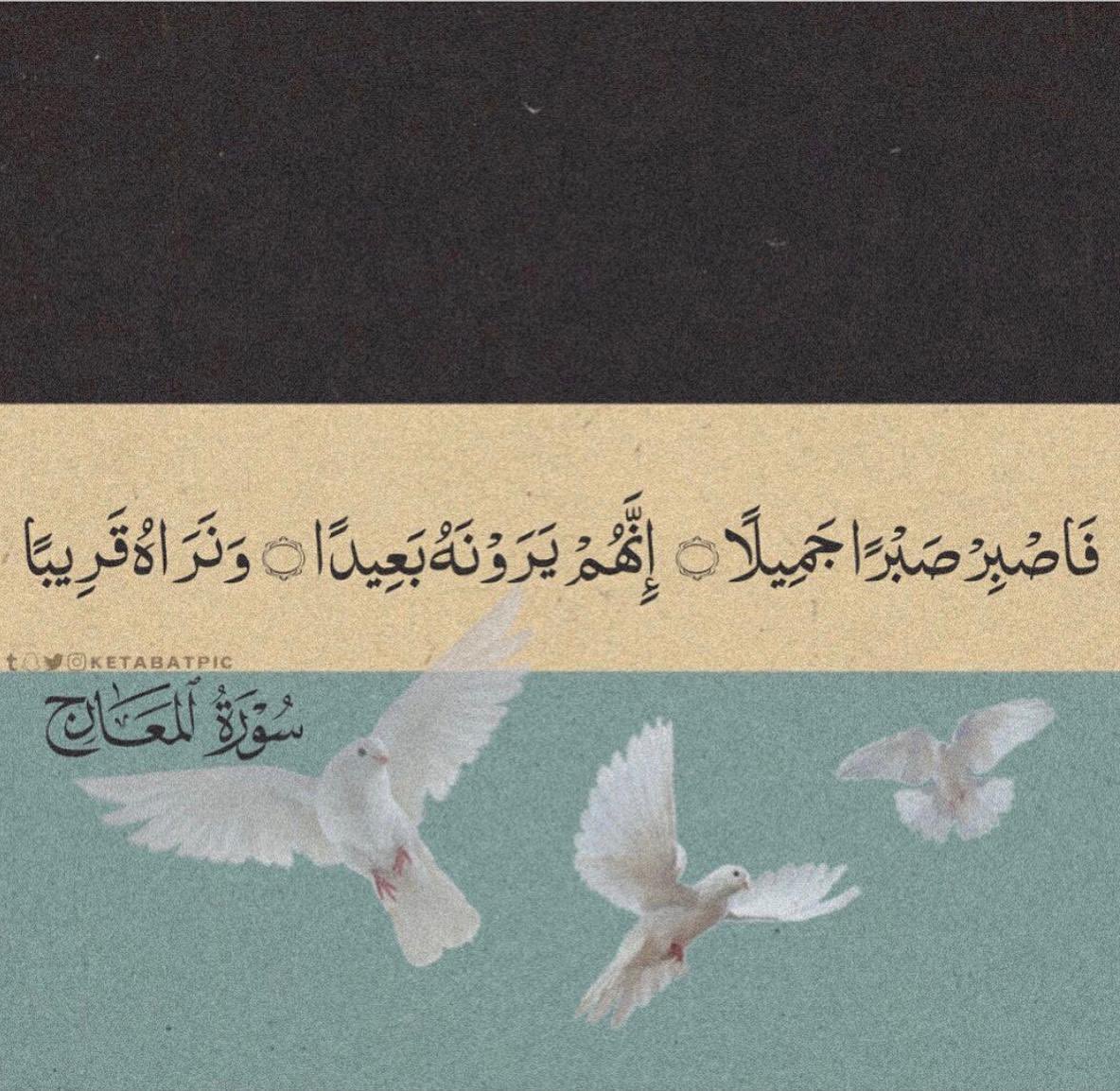 سُـجُوْد (@1whatsapp_) on Twitter photo 