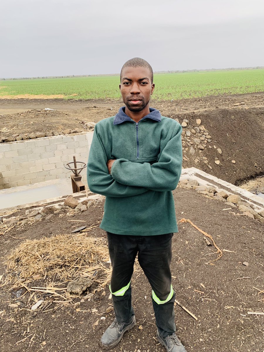 wallacemukoka's tweet photo. Life on a farm is a school of patience; you can't hurry the crops or make an ox in two days. https://t.co/kDx5i4ZikN