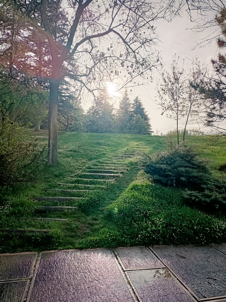 Hasanım🍀 (@hasanozd111) on Twitter photo 