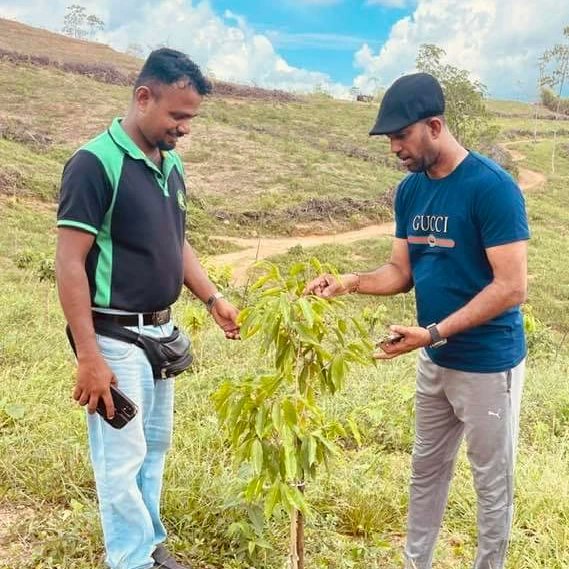 Kumar Dharmasena tweet media