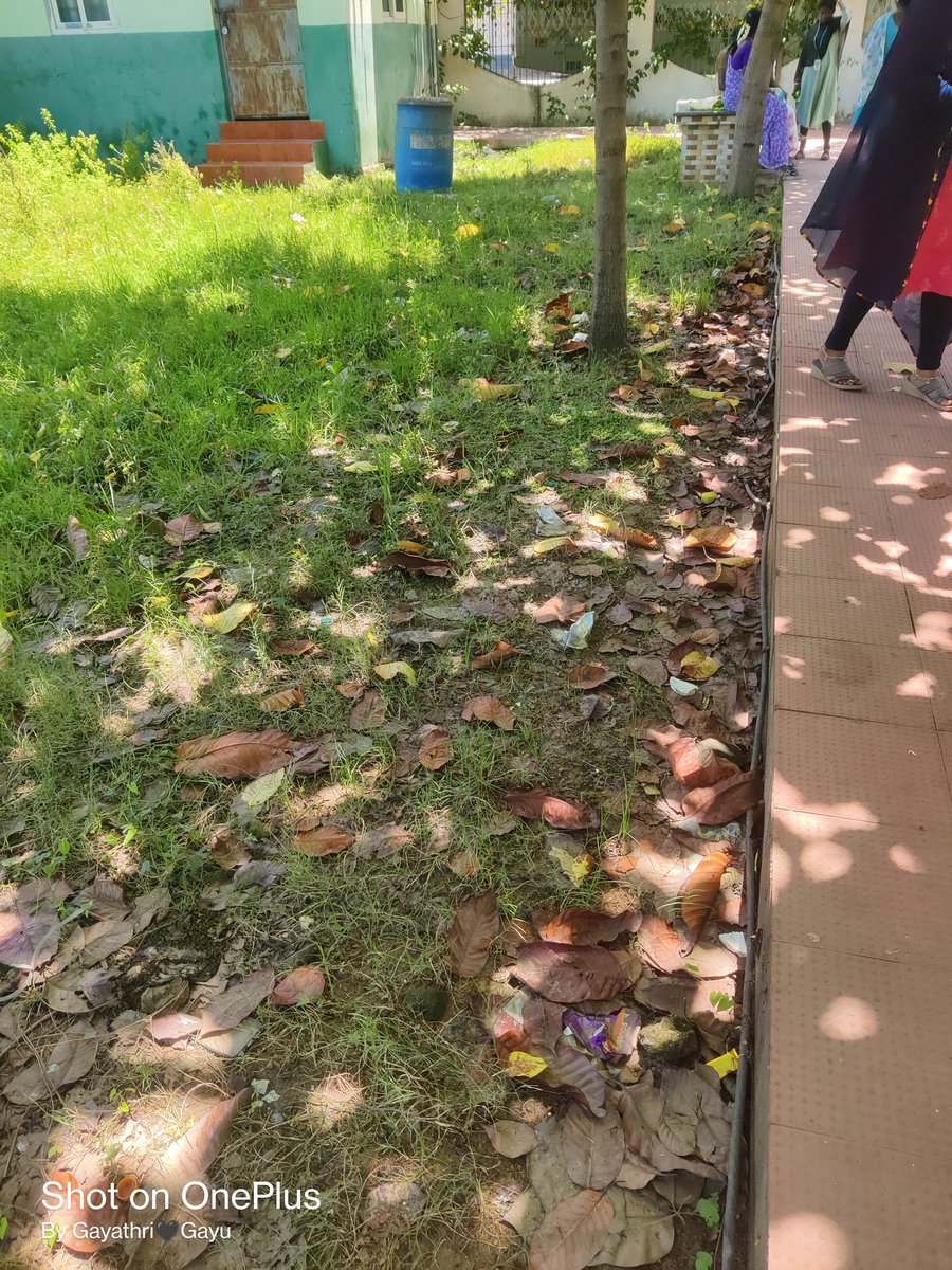 CommrPoonamall2's tweet photo. Poonamallee Municipality PMCC Park Cleaning Near Ward 11 Nanbargal Nagar Park, @KN_NEHRU @MawsTamilNadu @RoopaMishra77 @CVasanthi2 @SwachhBharatGov @SwachSurvekshan @SwachSurvekshan @Chengalpet_PIU @Secretary_MoHUA @SwachhBharatGov @SwachSurvekshan @SwachSurvekshan @MoHUA_India https://t.co/vjeMW7zLWQ