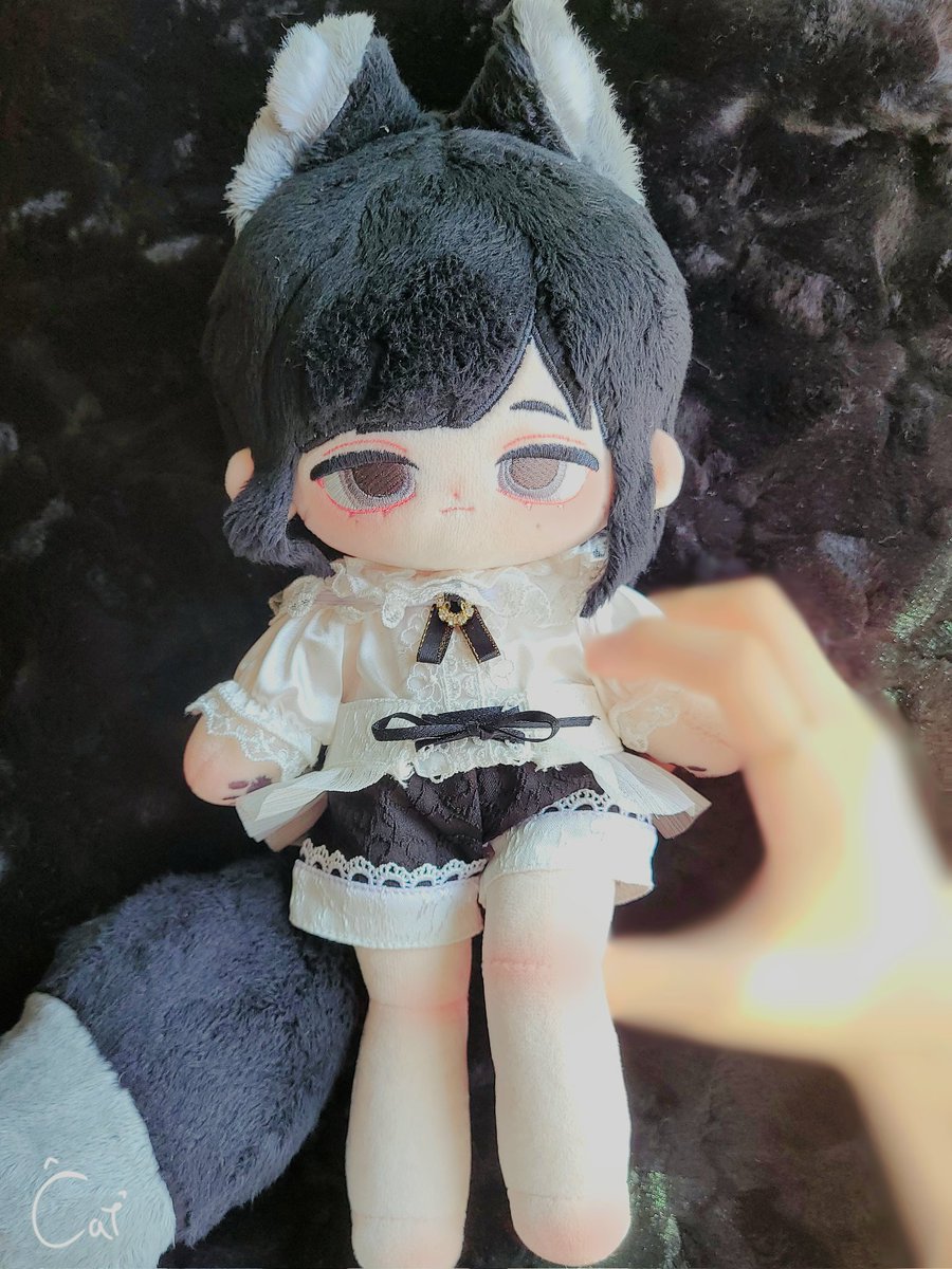 그저 왕자여우 🦊

#Cat_and_a_som