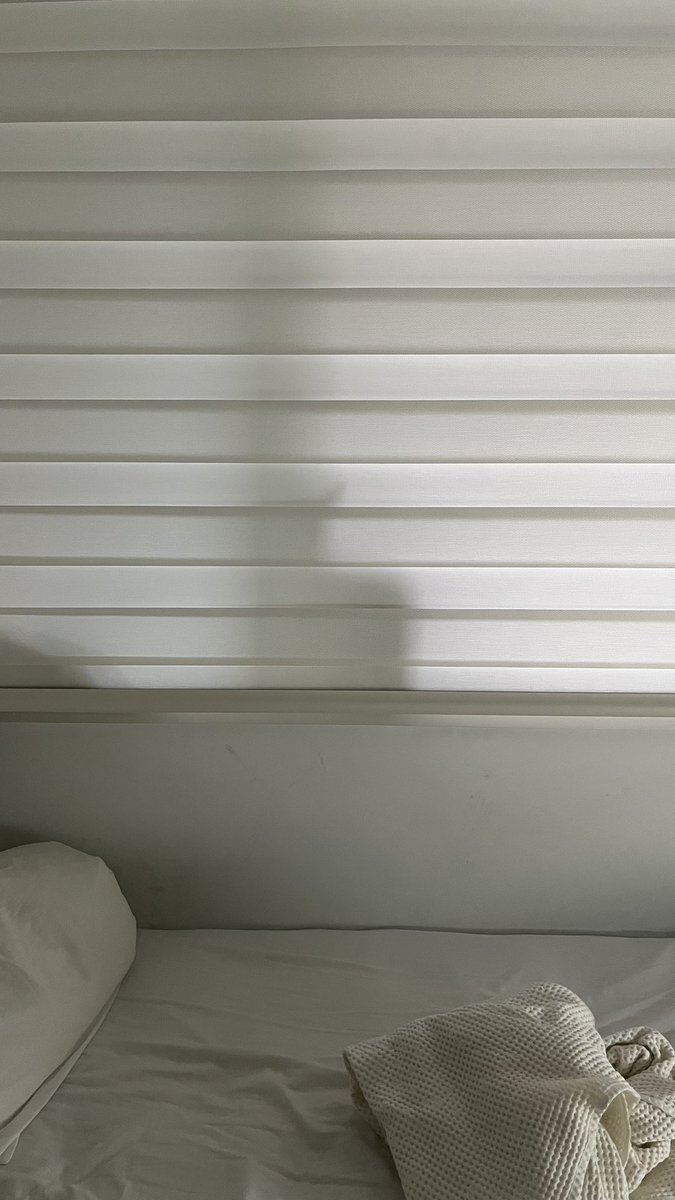 이것은 고양이 입니다