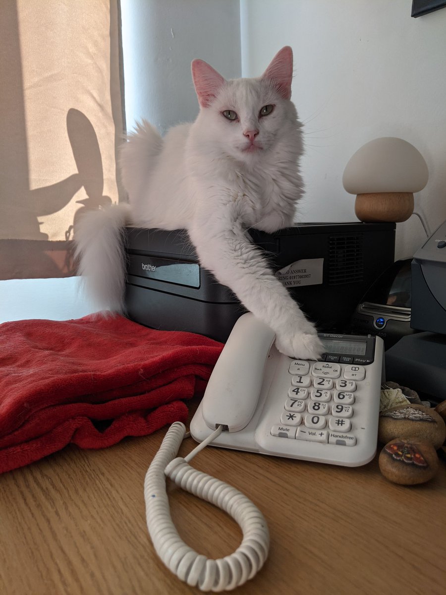 Lindsey💙 🇺🇦 tweet media