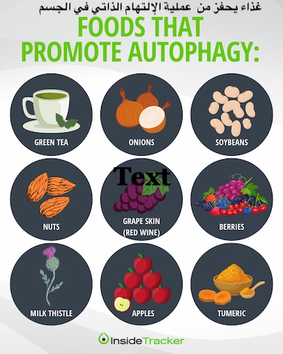 الالتهام الذاتي autophagy عملية من خلالها يلتهم الجسم الخلايا التالفة ويعيد تدويرها من أجل بقاء الخلايا السليمة، والقصور  في ذلك يرتبط بأمراض منها: السكري- كرون- القلب- الكلي...
يمكن تحفيز هذه العملية من خلال:

الصيام
تقييد السعرات الحرارية
نظام غذائي كيتوني
ممارسة الرياضية