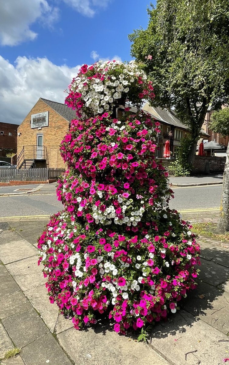 A busy day in a busy week (and a bit!) for our friends/supporters @PontefractCivic Check out their Facebook or grab a copy of this leaflet to find out all about #Pontefract and nearby Be a ‘tourist in our town’ and learn the history around us 🤭 and maybe spot our blooms too