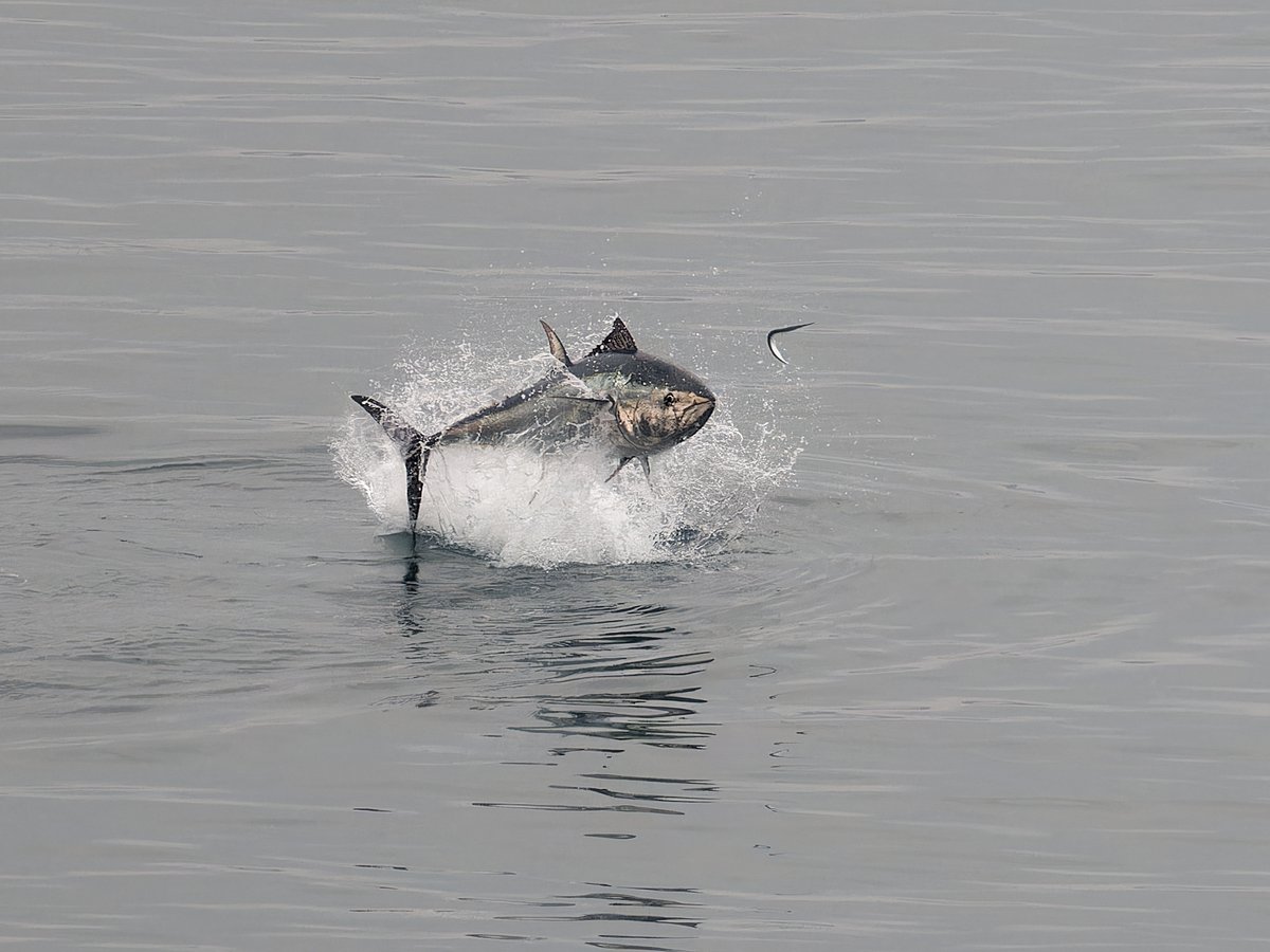 Paul Roberts tweet media