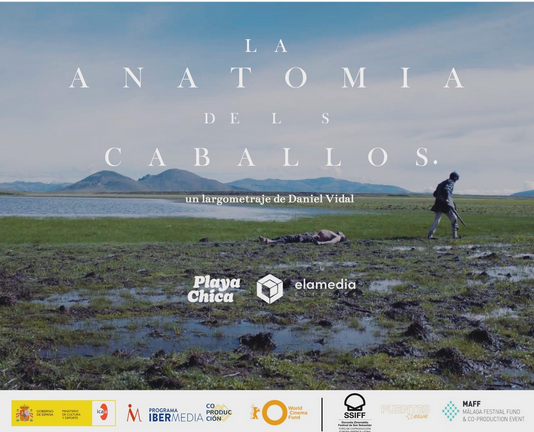 ECAM_'s tweet photo. 🎬 Semana de acción para el equipo (repleto de #alumniECAM) de 'La anotamía de los caballos', el nuevo proyecto de Daniel Vidal, que ya ha comenzado su rodaje.
↪ Una producción de Playa Chica y @elamedia.
#ComunidadECAM #TalentoECAM https://t.co/fjsk2nHnWy