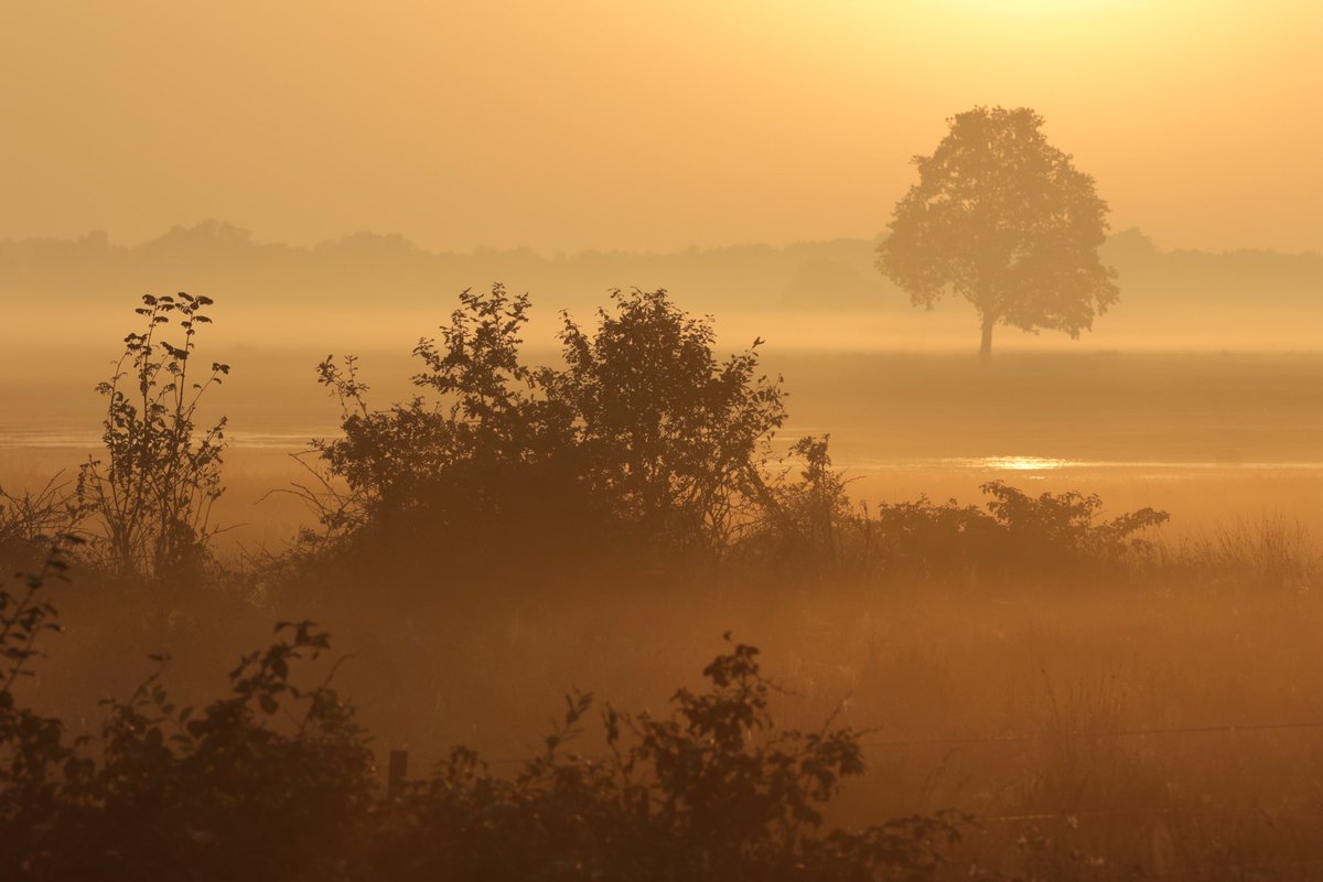 ‘ontwakend landschap’ Schitterende zonsopkomst in het Dwingelderveld. <a href="/BCDwingeldervld/">BC Dwingeldervld</a> <a href="/Dwingelderveld/">NP Dwingelderveld</a> @Natuurmonument