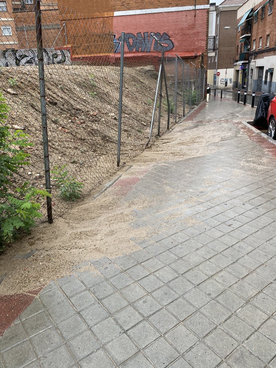 🌳Mesa del Arbol de Carabanchel tweet media