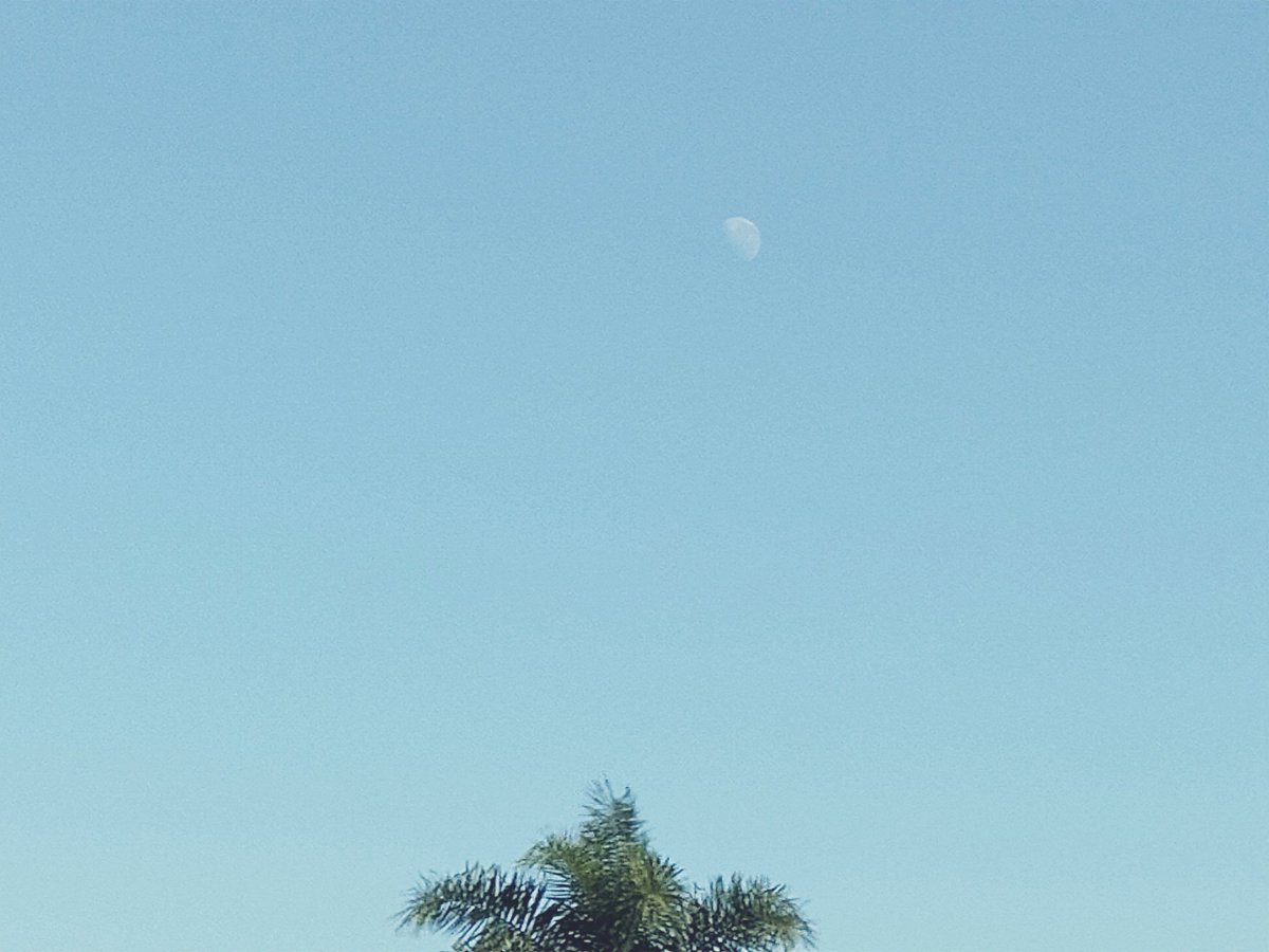 krtcano11's tweet image. Gorgeous moon at the horizon!