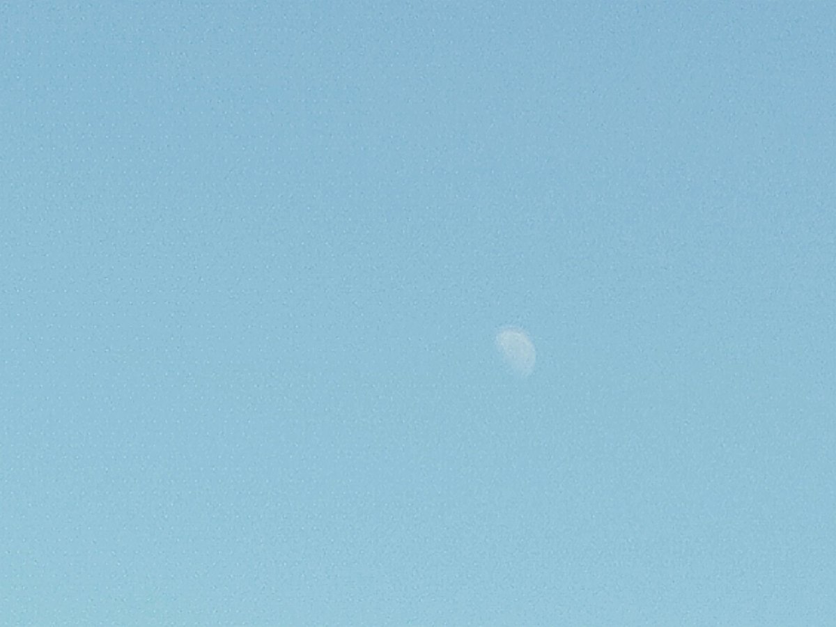 krtcano11's tweet image. Gorgeous moon at the horizon!