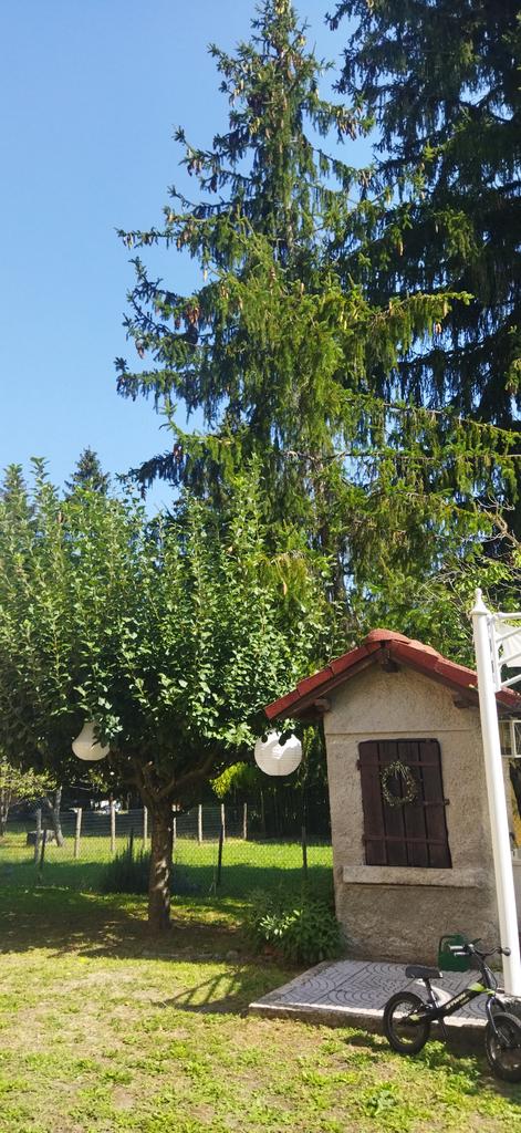 paopas12's tweet photo. Un settembre speciale sa regalare ancora giornate bellissime โค๏ธ
#buenretiro #bassopiemonte
#9settembre2023 https://t.co/F9FyuByYIH