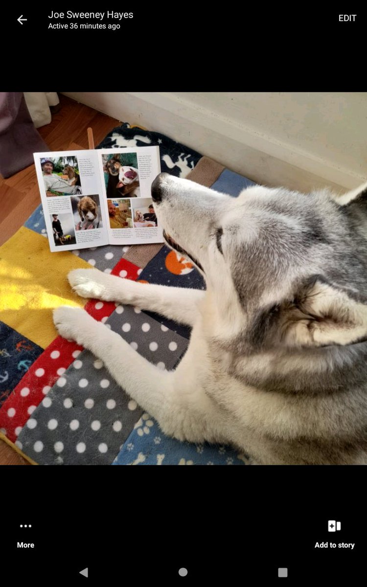 janeymcd23's tweet photo. Have just finished the @NiallHarbison book #Hope. The other is for my fellow rescuer Alison. Just listened to the interview on @RTERadio1 and am emotional again 😭. Niall you are a #DogAngel on earth. For all of those paws we've loved and lost 💔#ForTina #TinasHospital #Snoop 💚 https://t.co/EKUiSqnsJf