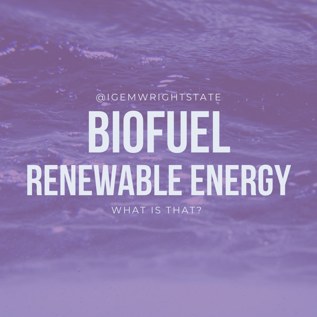 WrightStateiGEM tweet media