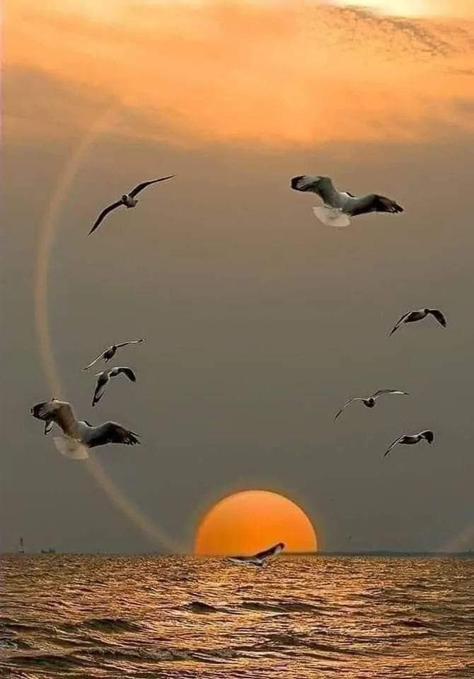 𝑺𝒐𝒇𝒊𝒔𝒕𝒊𝒌𝒂𝒅𝒂 (@sofistikada06) on Twitter photo 