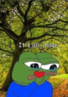 Sam Ferreira tweet media