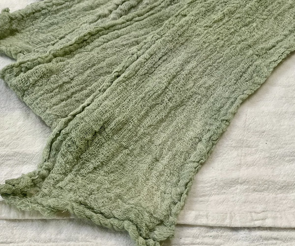 SilkDamask's tweet photo. And another detail of the #freshleaf #indigo dye experiment from our @UofNH @unhresearch #flaxproject #flaxtofiber #teamflax using a loose weave cotton #livinghistory #materialculture #museumstudies https://t.co/X1Xl8lSQmc