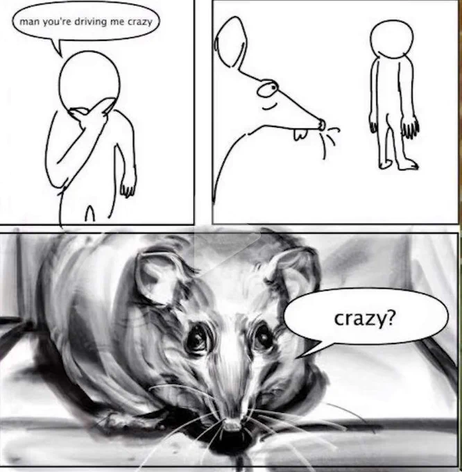 Unusual Videos tweet media