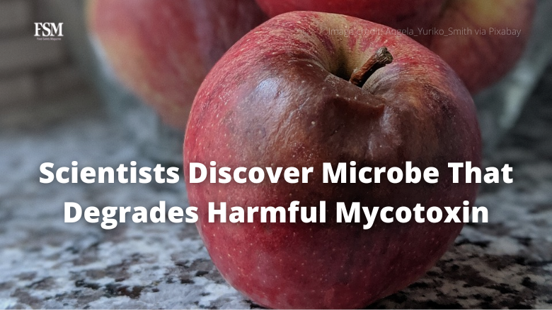 FoodSafetyMag's tweet image. Researchers discovered a new microbe in soil that shows could eliminate #patulin, a harmful #mycotoxin produced by a species of fungi that tends to grow on damaged or decaying fruits like apples.

👉 MORE: brnw.ch/21wCqvS

#foodsafety #foodindustry #foodscience #FSQ