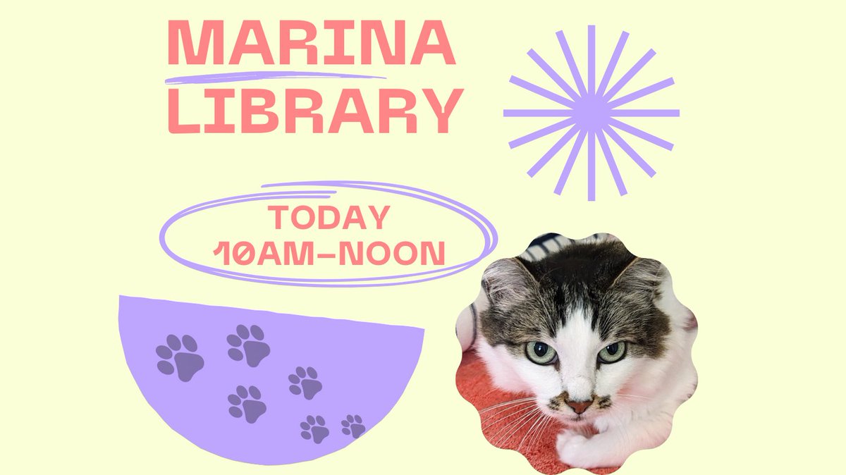 CatsOldies's tweet photo. Golden Oldies will be at the Marina Library Friday, September 9th from 10AM to noon, 190 Seaside Circle! Learn more about us and how you can foster, adopt, or donate!
#rescue #adopt #volunteer #cats #monterey #gocr #ilovecats #nonprofit #adoptdontshop #marina #marinalibrary https://t.co/YRpcAOeahD