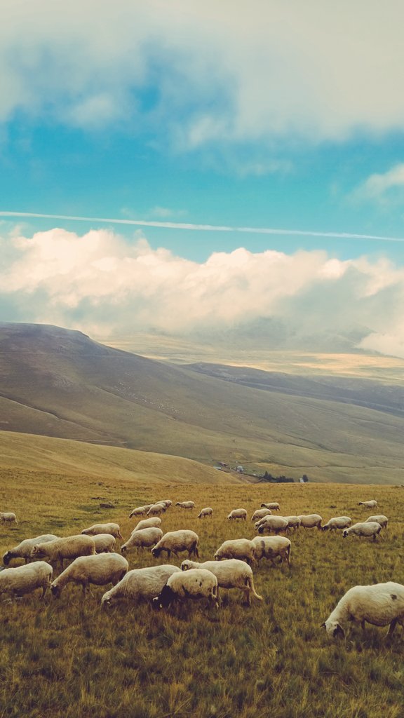 sadi göl (@sadi_gol) on Twitter photo 