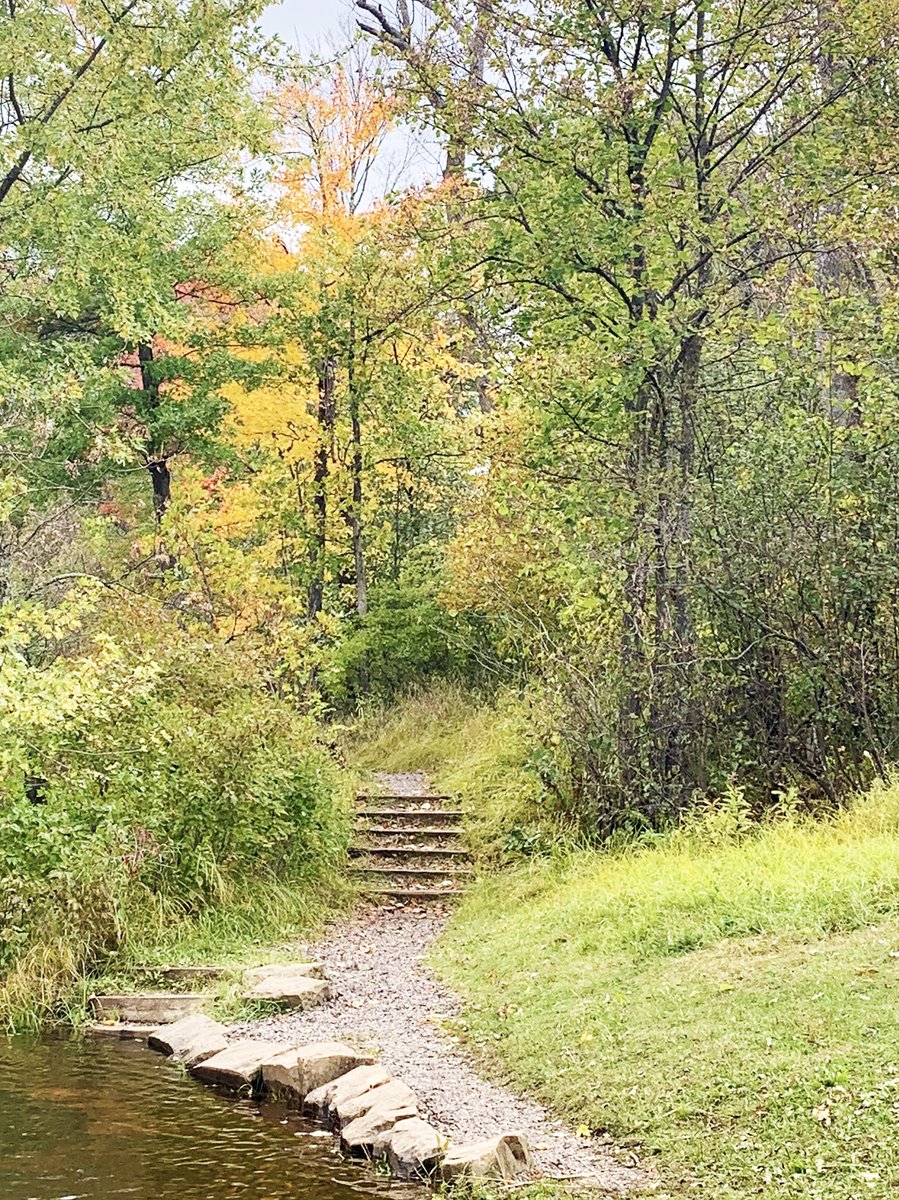 mnlottery's tweet photo. Enjoy FREE entrance to #MNStateParks today! Lottery $ through @mnenrtf help @mndnr acquire additional park land to protect MN’s natural heritage & enhance outdoor recreational opportunities. Learn more here: https://t.co/PIlWNQ04sz #MNLotteryDollarsAtWork https://t.co/VI2HdZbjTo