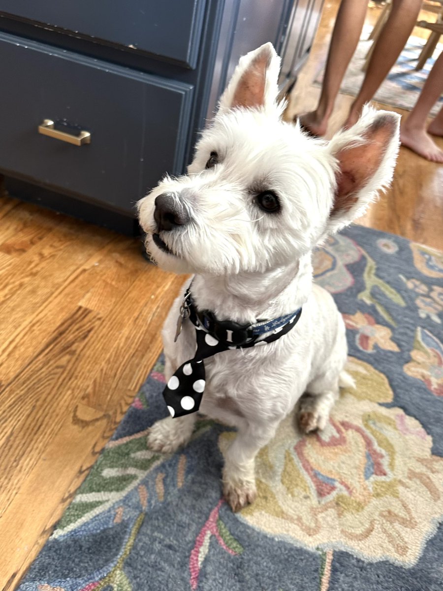 SCOTT WARNER tweet media