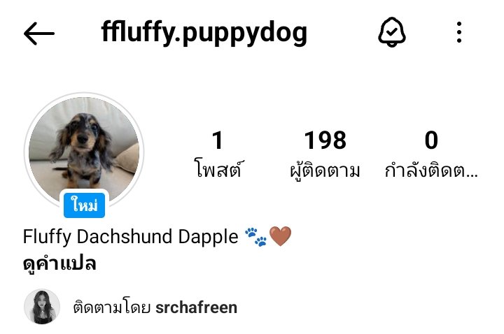 Myself308081998's tweet photo. Fluffy ลูก หนูน่ารักมากกก
ลูกหม่ามี้ฟรีนครับผม
#fluffy×srchafreen https://t.co/wqy4FoxnpS
