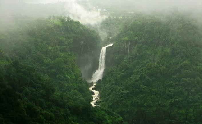 meet_abhijit's tweet image. #Lonavla #hill stn in #Pune dt, crossed 400cm #Rainfall mark on 9-9-23 🌧️

With 112 mm today, Seasonal #Rain stands at 4056 mm

#KonkanWeather #Monsoon2023 #लोणावळा #घाट #पाऊस #पुणे #Sahyadrighats #Maharashtra #WesternGhats #पिंपरी-#चिंचवड #GhatRain #सह्याद्री #डोंगर #Lonavala