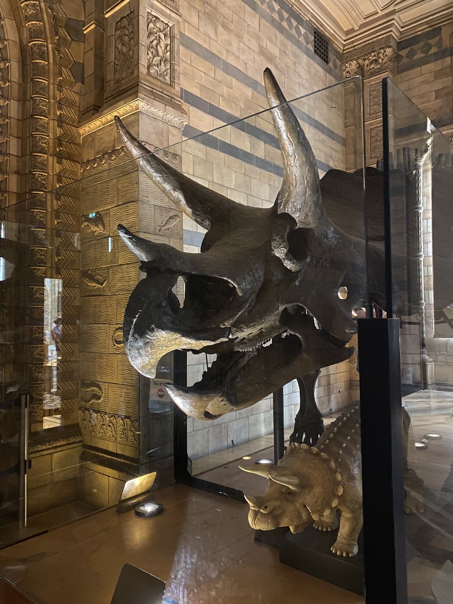 AmberHall193's tweet photo. 🦖🦕 https://t.co/DQK57bgIjm