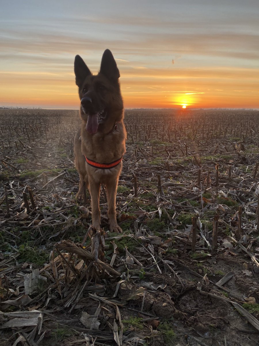 Today we celebrate Emergency Services Day. We are proud of the part we play within our 999 partnerships. #999Day